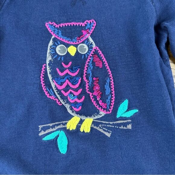 Mini Boden Owl Embroidered Sweatshirt Dress - Picture 2 of 4
